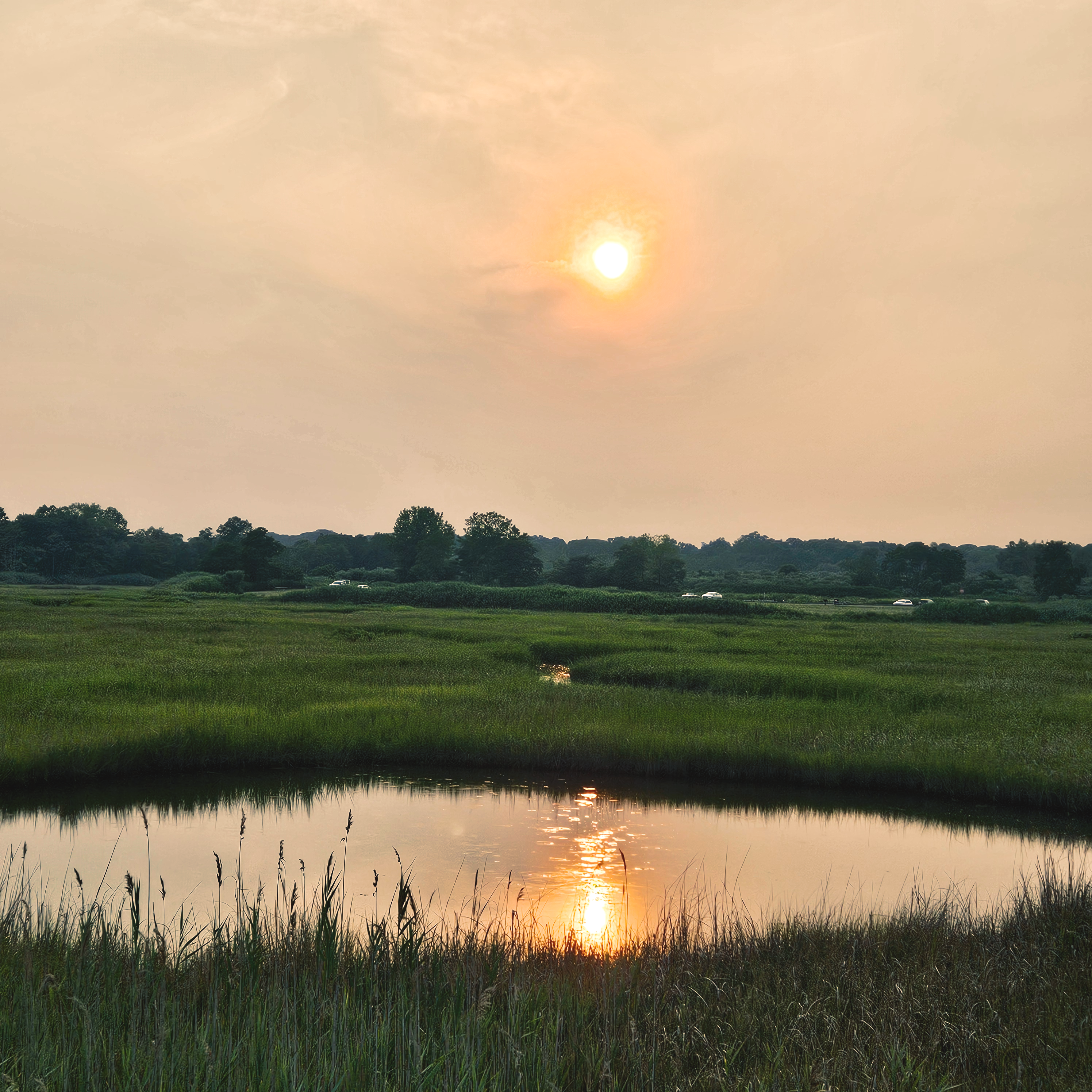 Milford sunset